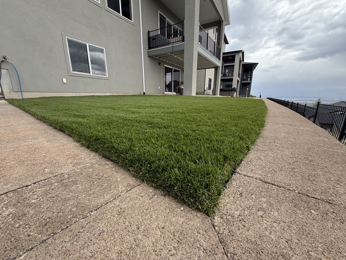 Artificial turf on hillside backyard with valley views
