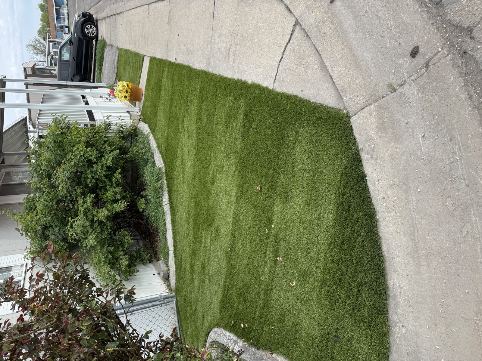 Front yard artificial turf with curved border along sidewalk — Sol Scapes Utah